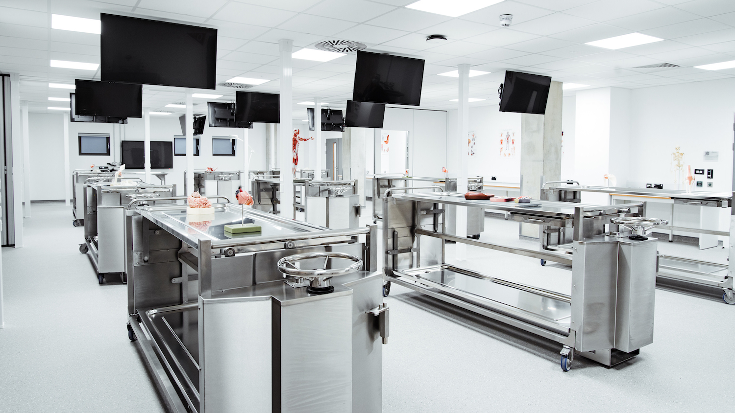 Verena Holmes Anatomy Learning Centre Dissection Room
