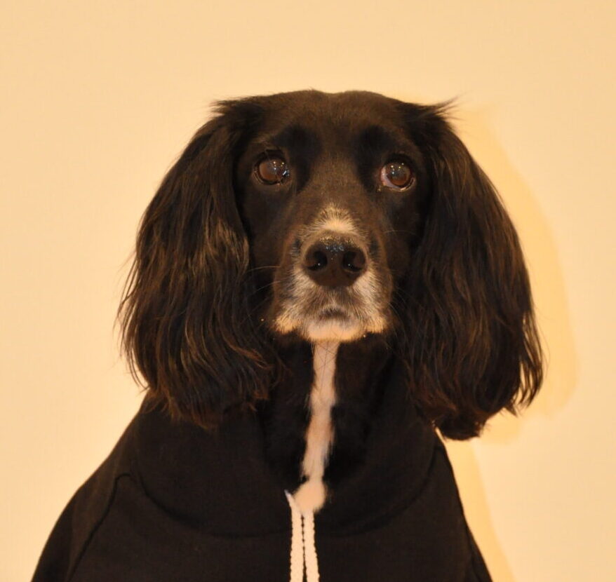 Portrait of Olive