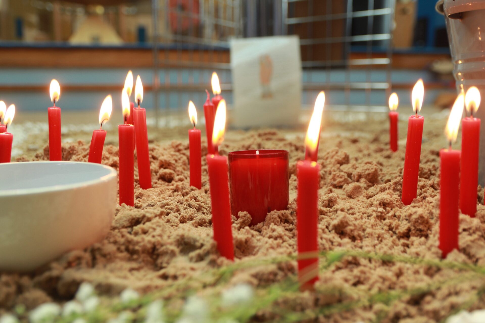 Candles from the Anatomy Service of Thanksgiving, 22 April 2024.